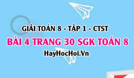 Giải bài 4 trang 30 Toán 8 Tập 1 SGK Chân trời sáng tạo